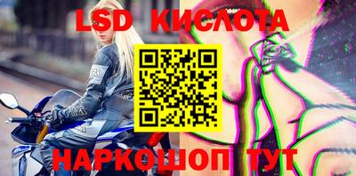 Альфа ПВП Кунгур