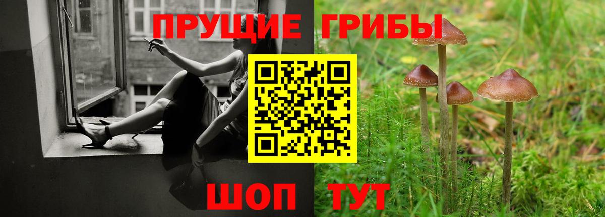 Псилоцибиновые грибы мицелий Ивантеевка