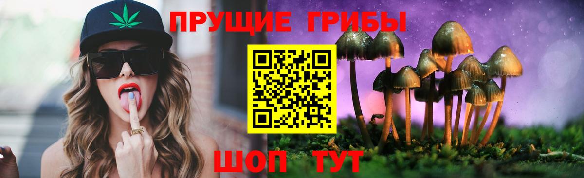 Галлюциногенные грибы MAGIC MUSHROOMS  Вход с VPN  Ивантеевка 